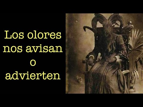 &iquest;Qu&eacute; Hacer Ante un Olor a Quemado Sin Causa Aparente?